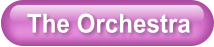 The Orchestra