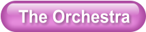 The Orchestra