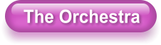 The Orchestra