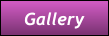 Gallery Gallery